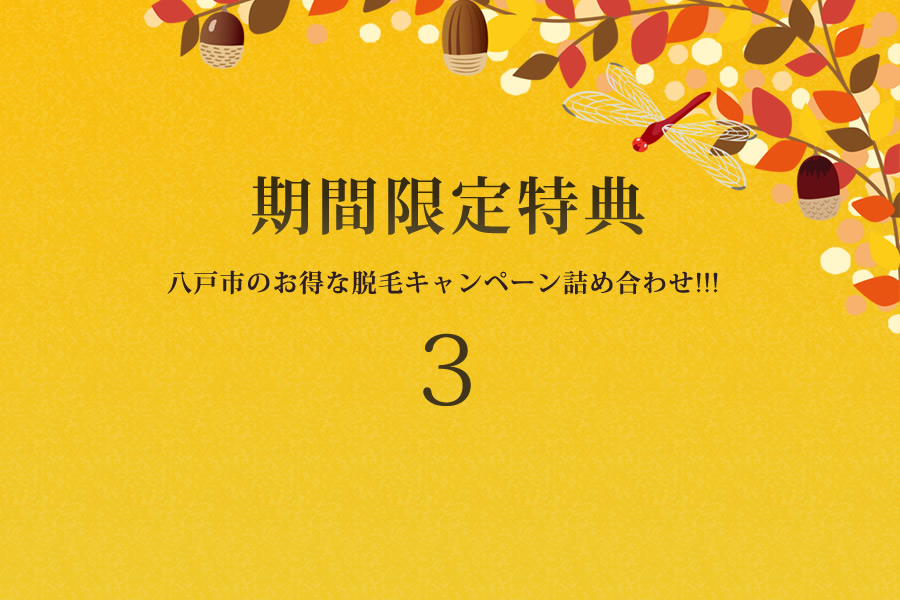 八戸市の期間限定脱毛キャンペーン集